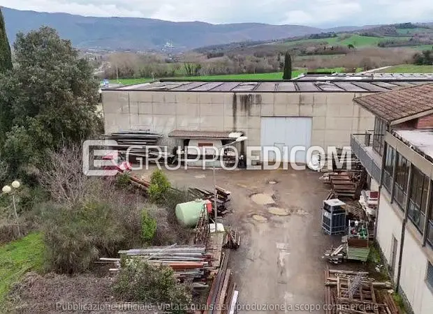 Immobile all’asta ad Acquasparta, Frazione Casigliano Campagna, Frazione Casigliano Campagna – 1123 m² – asta 16/12/2026