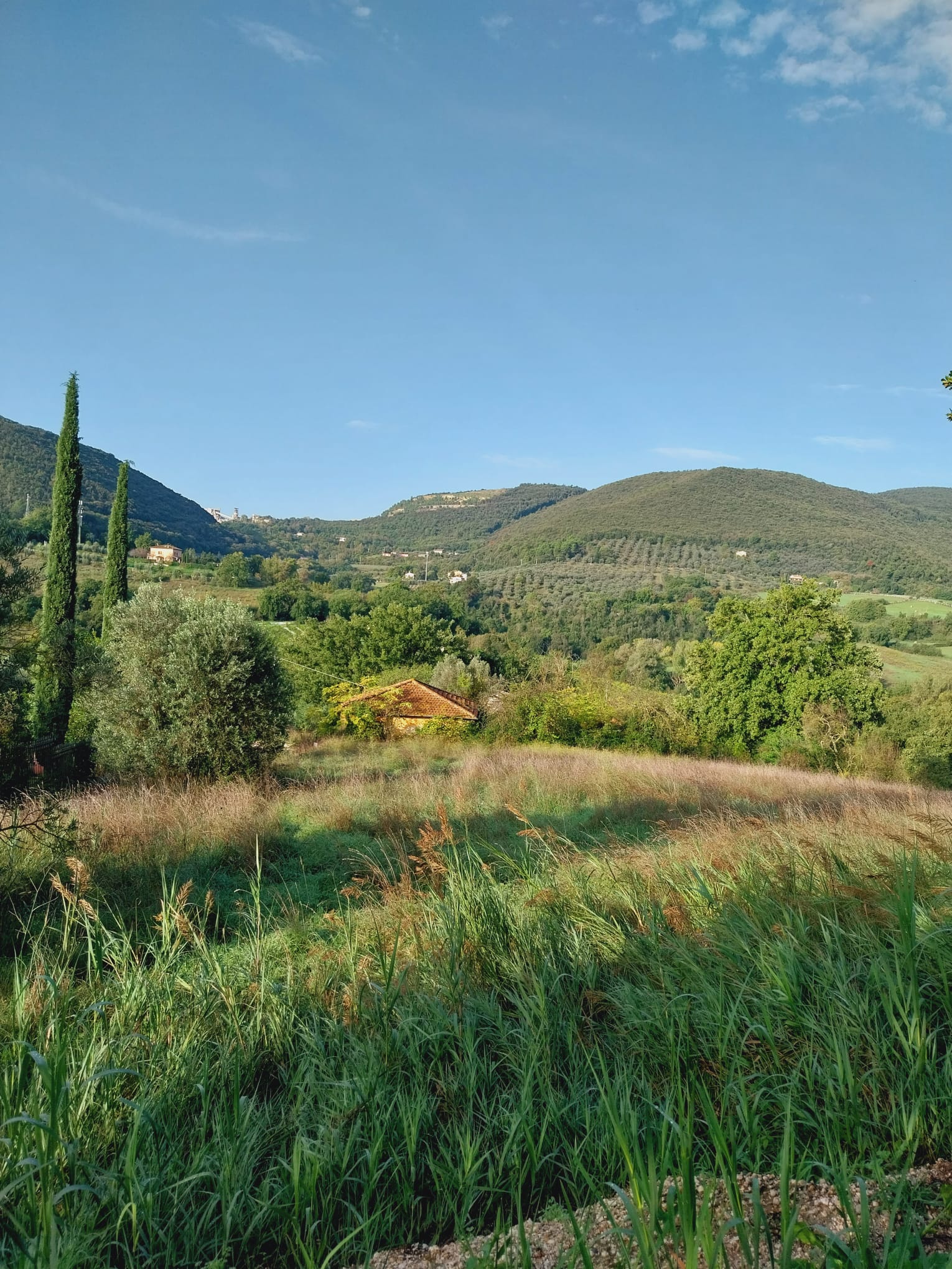 TERRENO AGRICOLO VENDITA NARNI