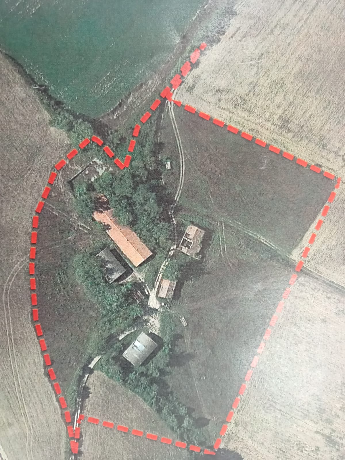 TERRENO AGRICOLO VENDITA MASSA MARTANA