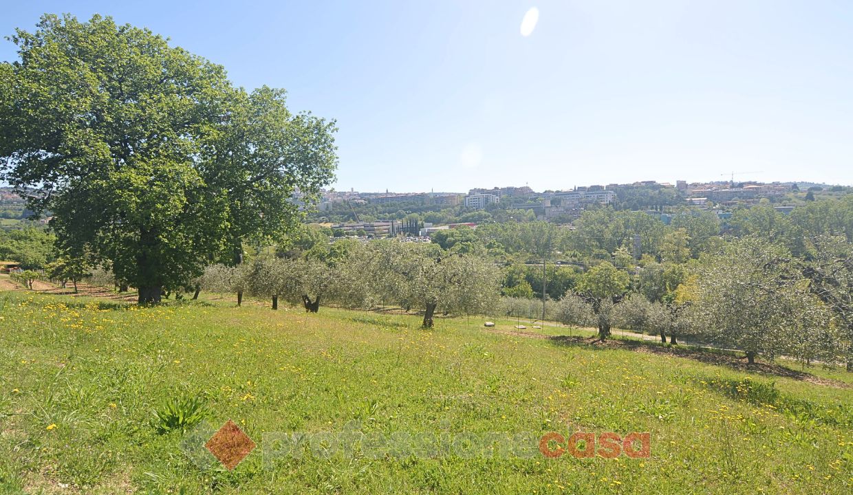 TERRENO EDIFICABILE VENDITA PERUGIA