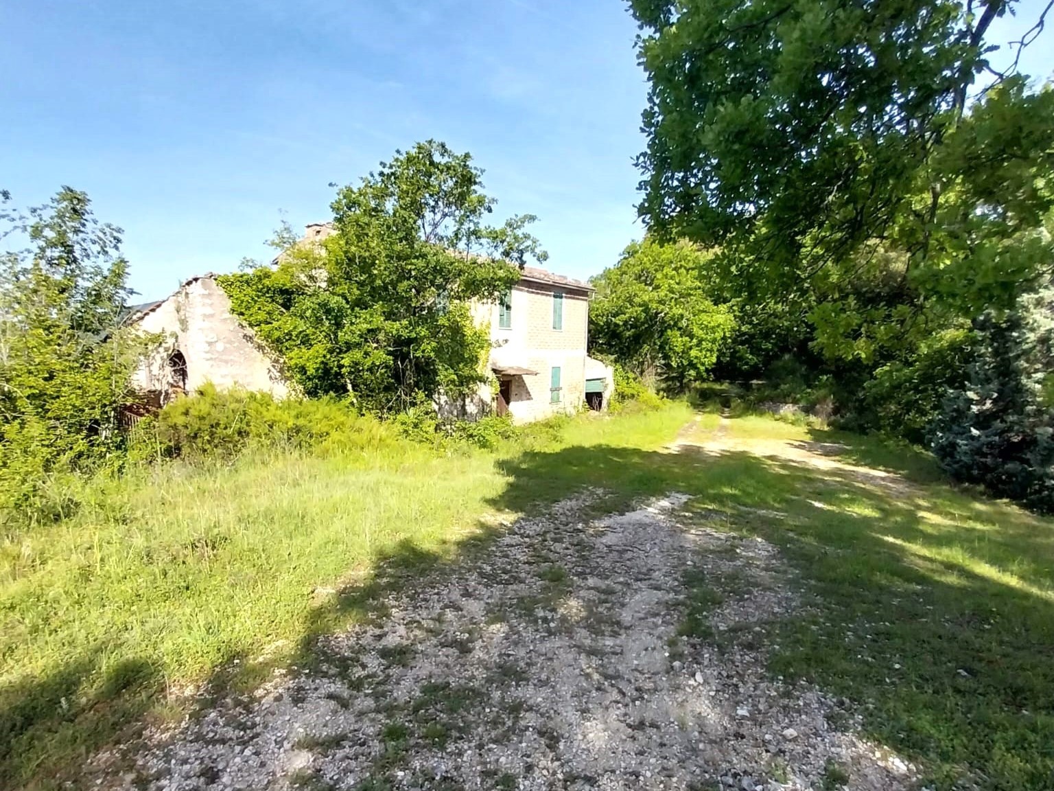 RUSTICO - CASALE VENDITA MONTEFRANCO