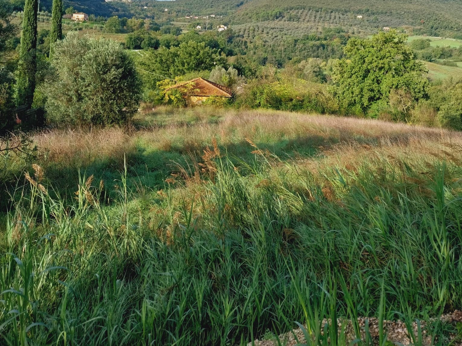 TERRENO AGRICOLO VENDITA NARNI