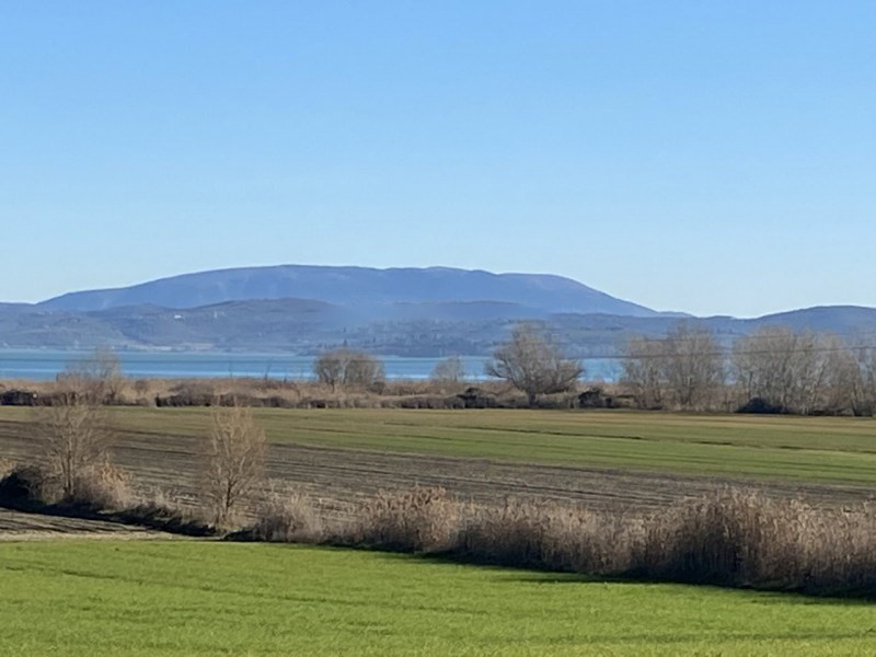 TERRENO AGRICOLO VENDITA CASTIGLIONE DEL LAGO