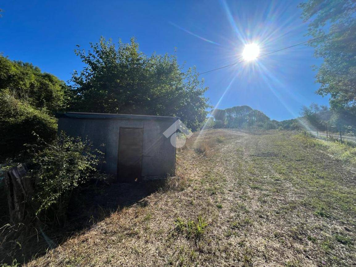 TERRENO AGRICOLO VENDITA NARNI