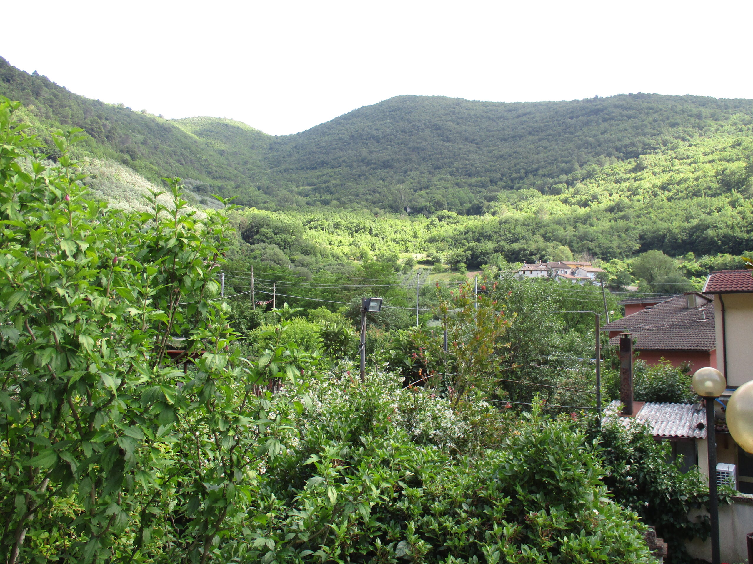 RISTORANTE VENDITA ARRONE