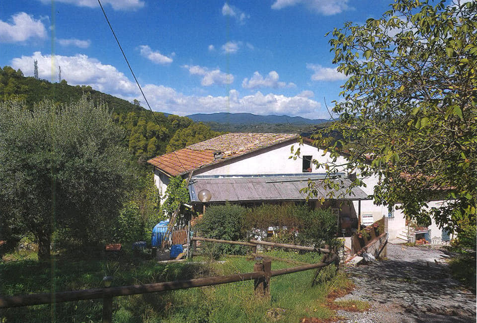 CASA INDIPENDENTE VENDITA ARRONE