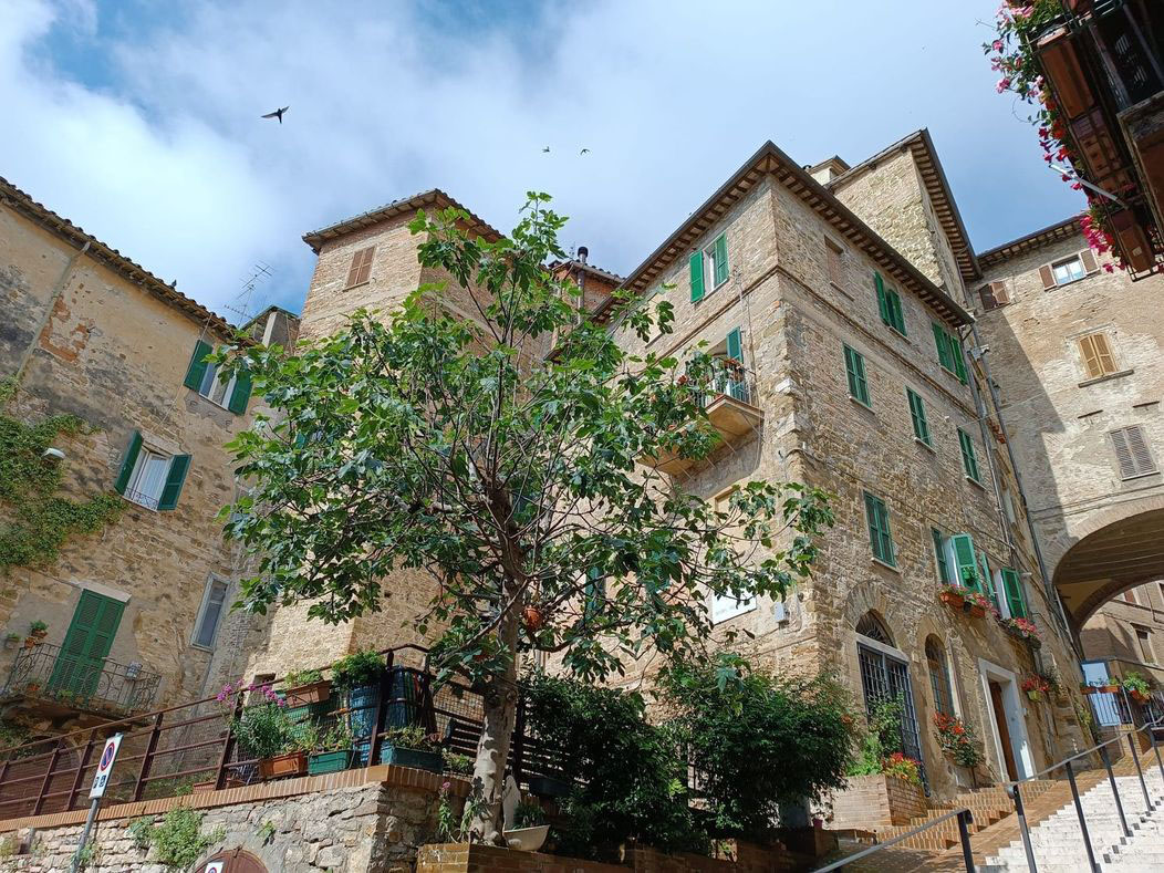 CIELO - TERRA VENDITA PERUGIA CENTRO STORICO