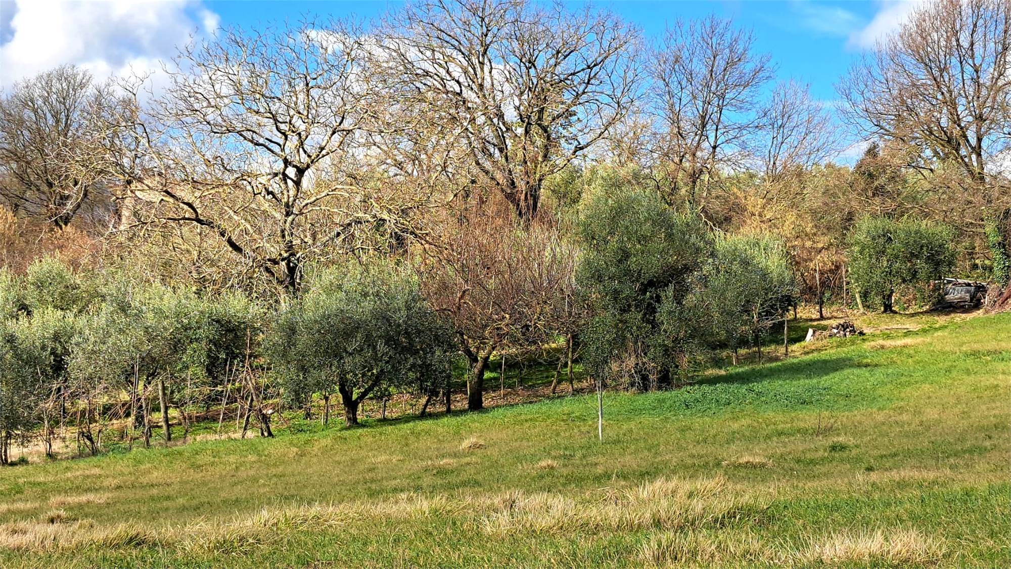 TERRENO EDIFICABILE VENDITA AVIGLIANO UMBRO