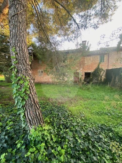 RUSTICO - CASALE VENDITA MARSCIANO BADIOLA