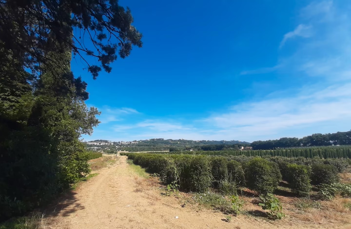 TERRENO AGRICOLO VENDITA PERUGIA BALANZANO