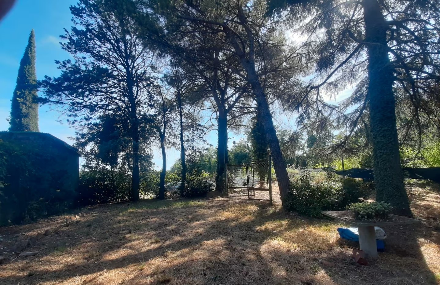TERRENO AGRICOLO VENDITA PERUGIA BALANZANO