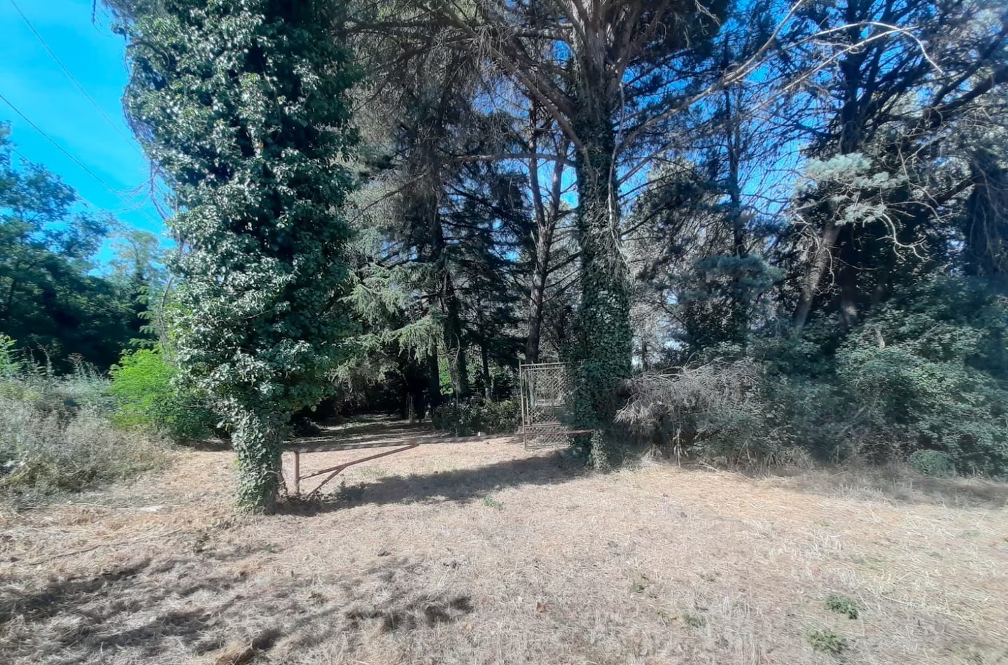 TERRENO AGRICOLO VENDITA PERUGIA BALANZANO