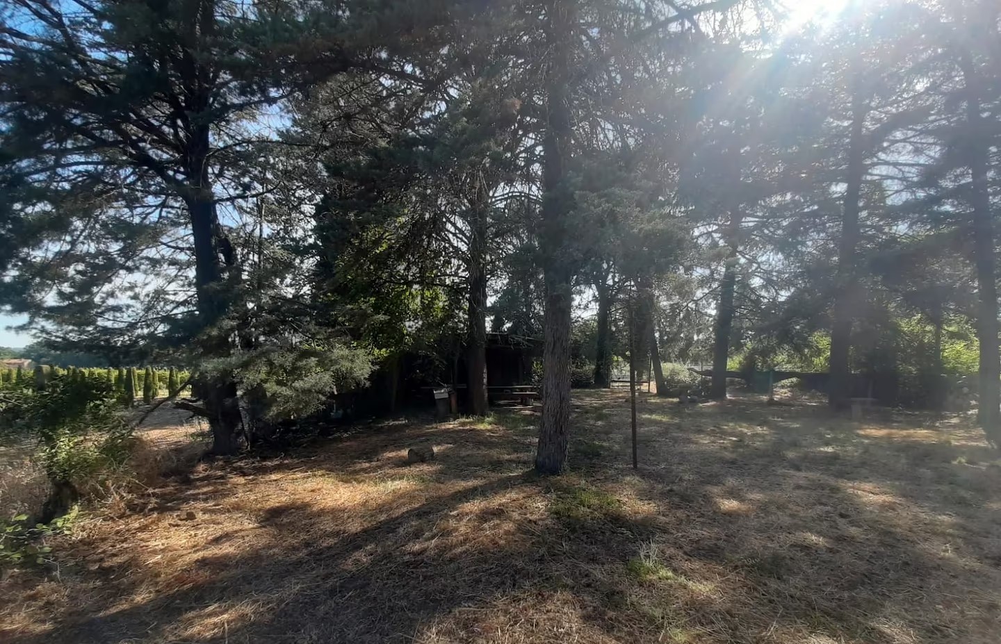 TERRENO AGRICOLO VENDITA PERUGIA BALANZANO