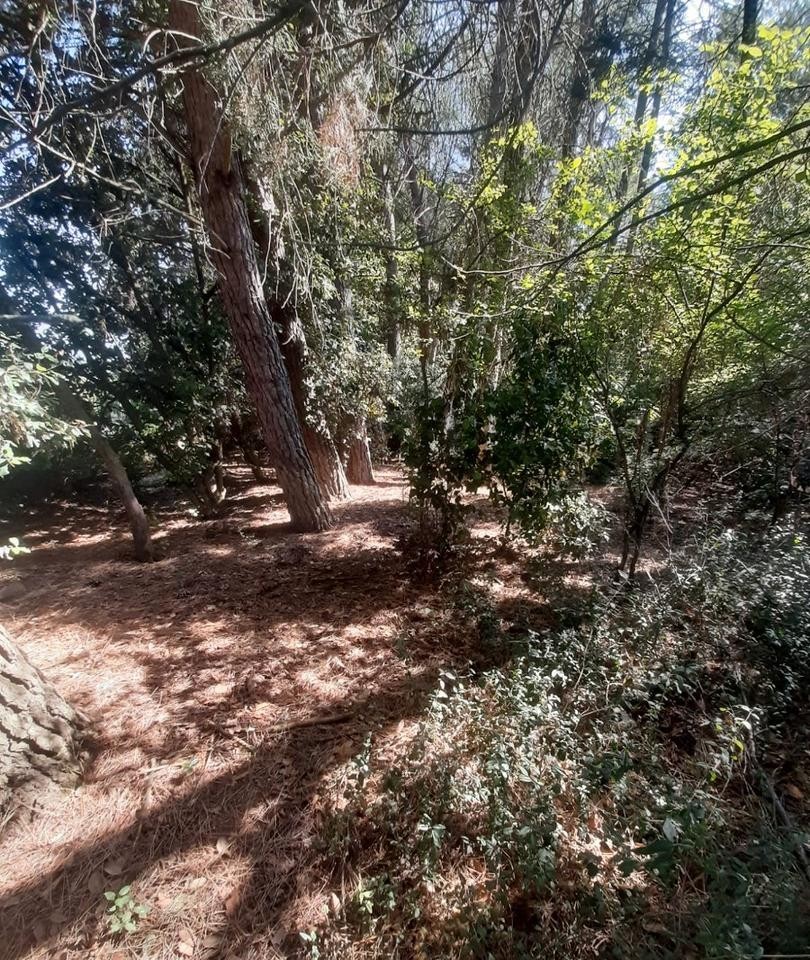 TERRENO AGRICOLO VENDITA PERUGIA BALANZANO