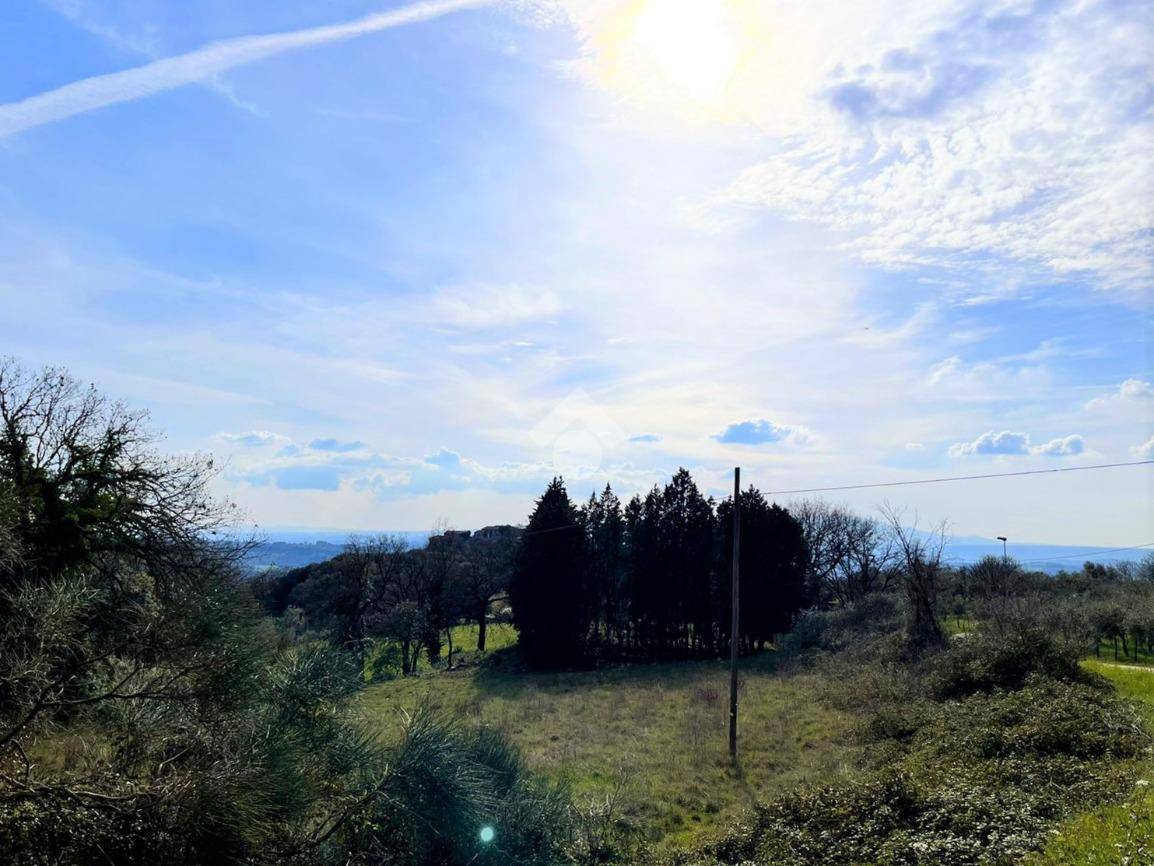 TERRENO AGRICOLO VENDITA NARNI