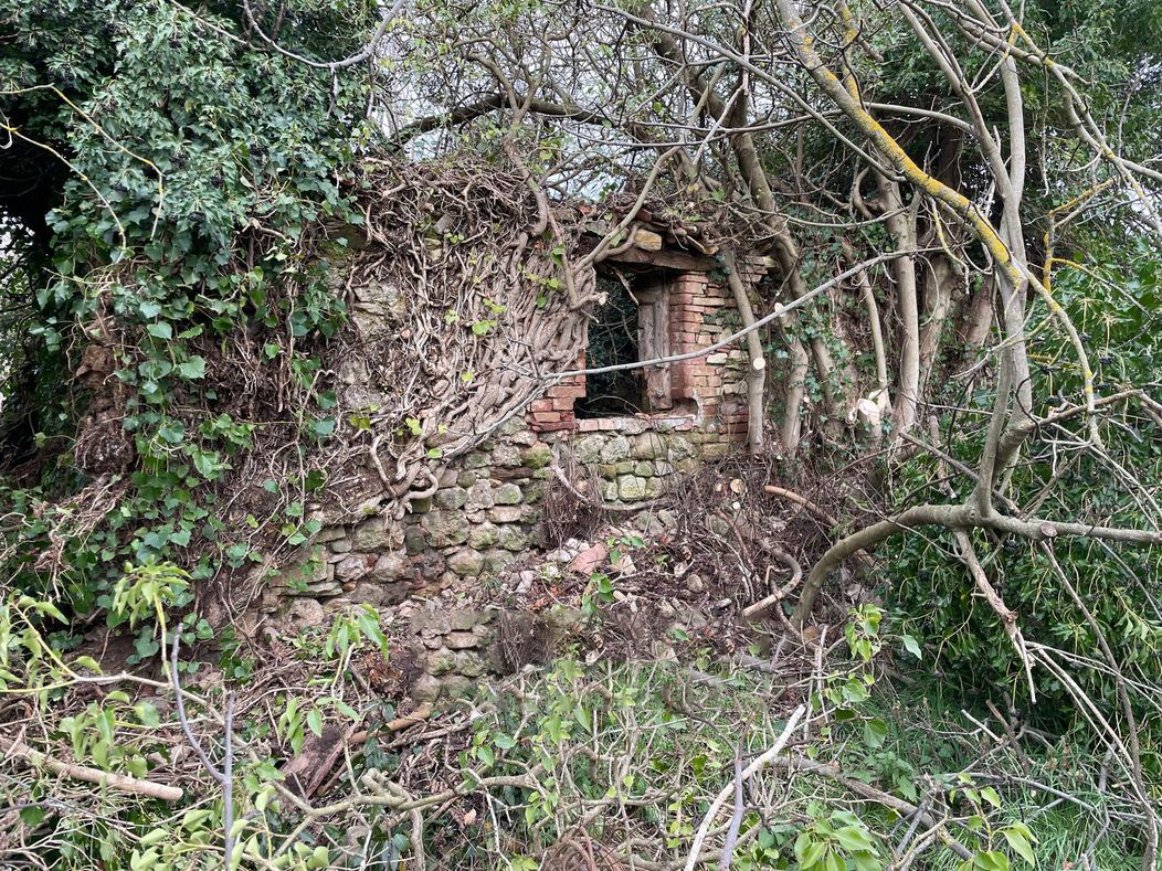 TERRENO EDIFICABILE VENDITA CORCIANO CAPOCAVALLO