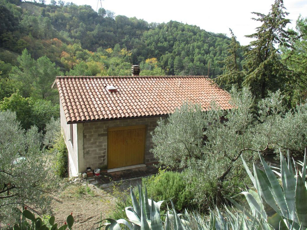 TERRENO AGRICOLO VENDITA TERNI