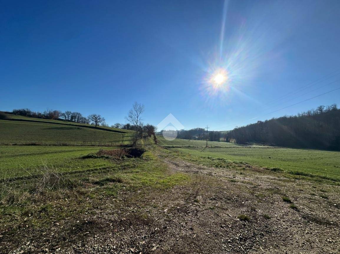 TERRENO AGRICOLO VENDITA MONTECASTRILLI