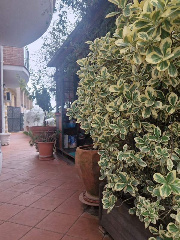 VILLA A SCHIERA VENDITA PERUGIA COLLESTRADA