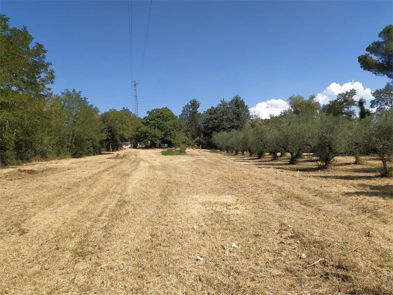 TERRENO AGRICOLO VENDITA PERUGIA COLLESTRADA