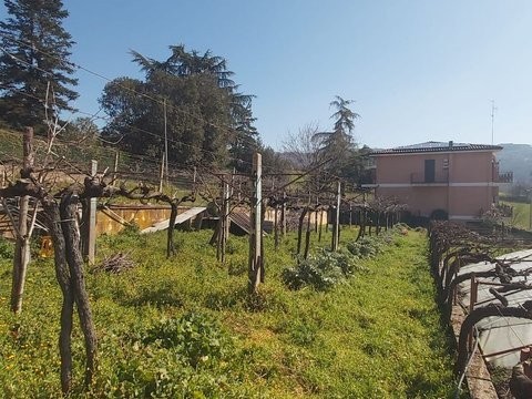 TERRENO EDIFICABILE VENDITA PERUGIA COLLE UMBERTO