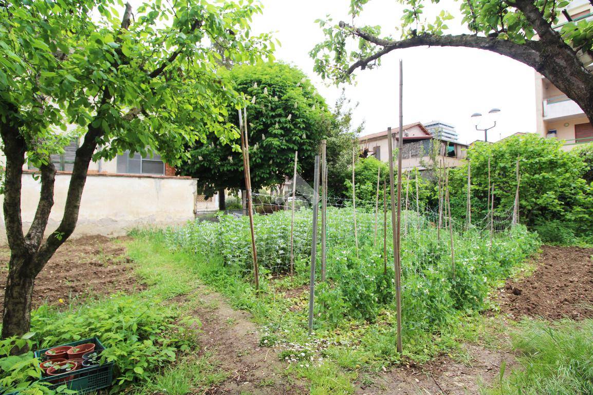 CIELO - TERRA VENDITA TERNI CITTÀ GIARDINO