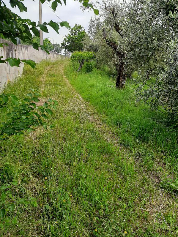 TERRENO EDIFICABILE VENDITA PERUGIA MONTELUCE