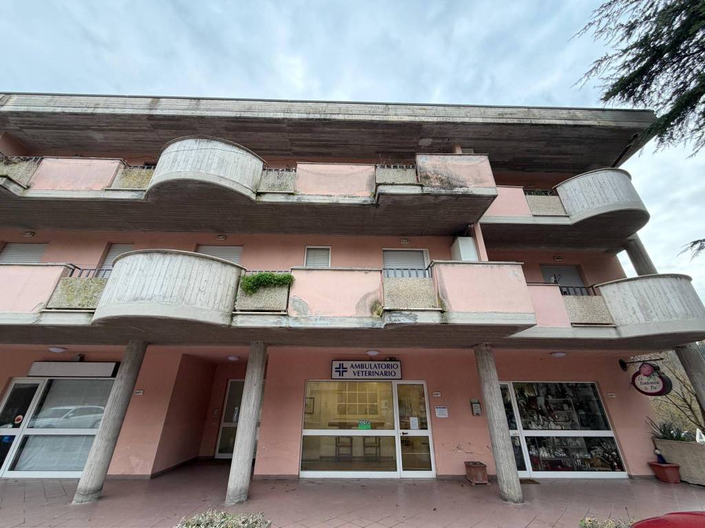 NEGOZIO VENDITA PERUGIA COLOMBELLA