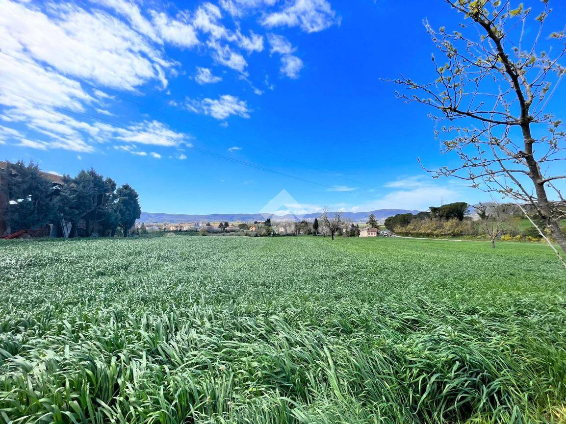 TERRENO EDIFICABILE VENDITA NARNI