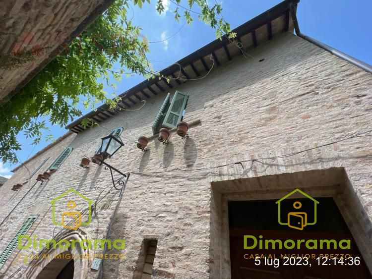 CIELO - TERRA VENDITA MONTEFALCO