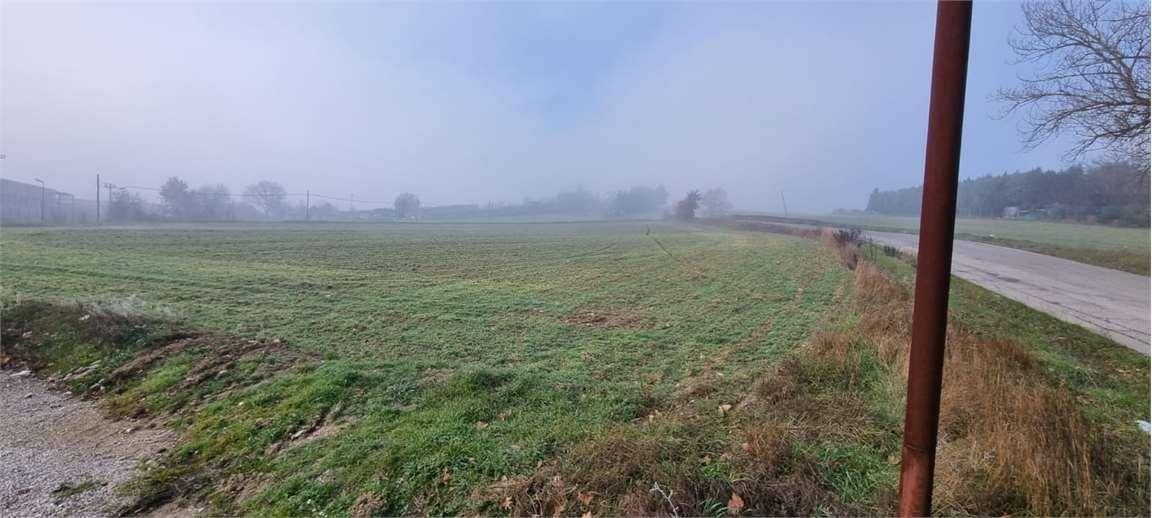 TERRENO EDIFICABILE VENDITA GUALDO CATTANEO