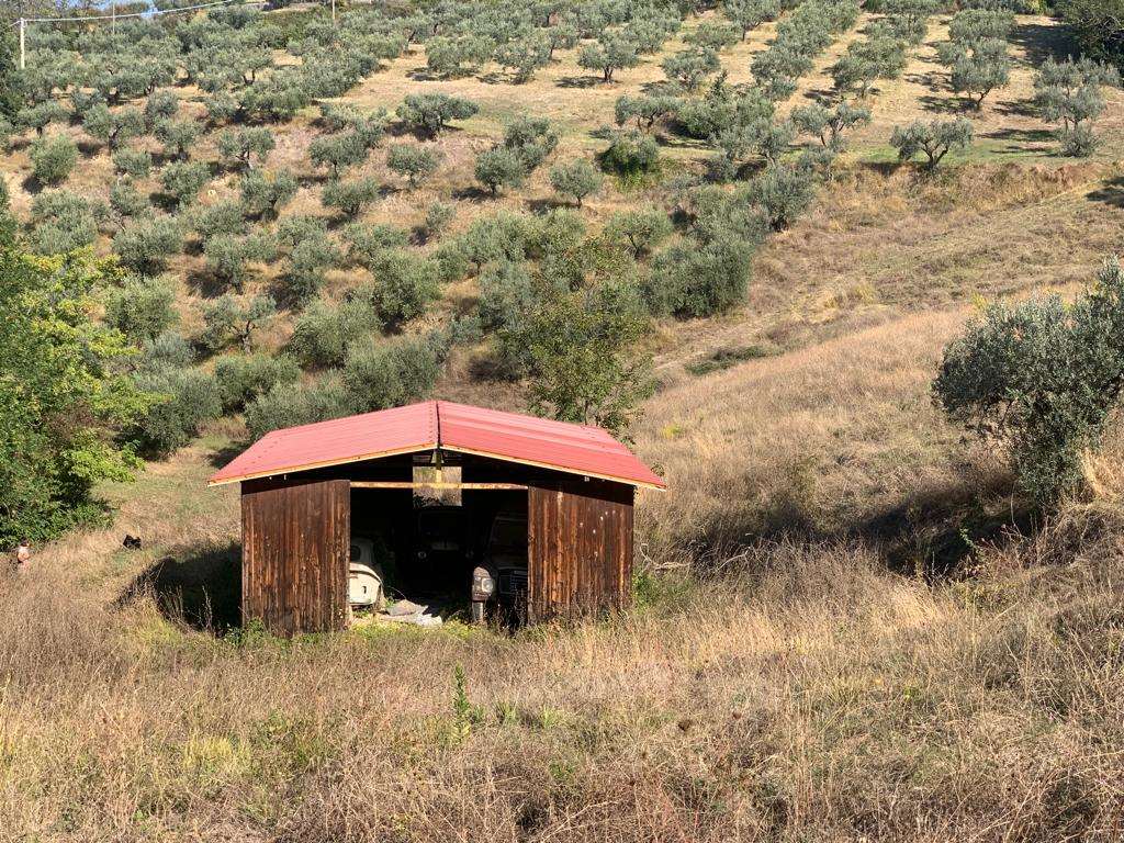 RUSTICO - CASALE VENDITA ASSISI