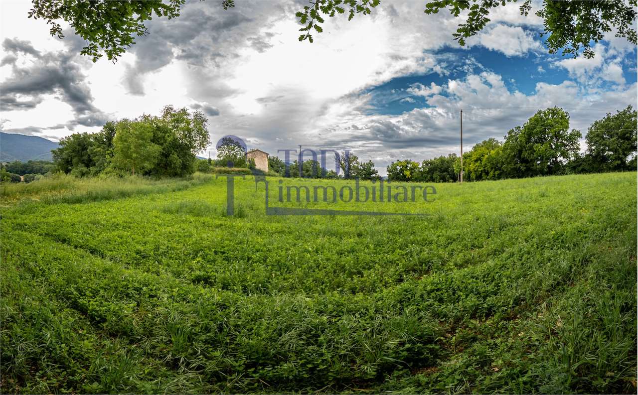 RUSTICO - CASALE VENDITA MASSA MARTANA