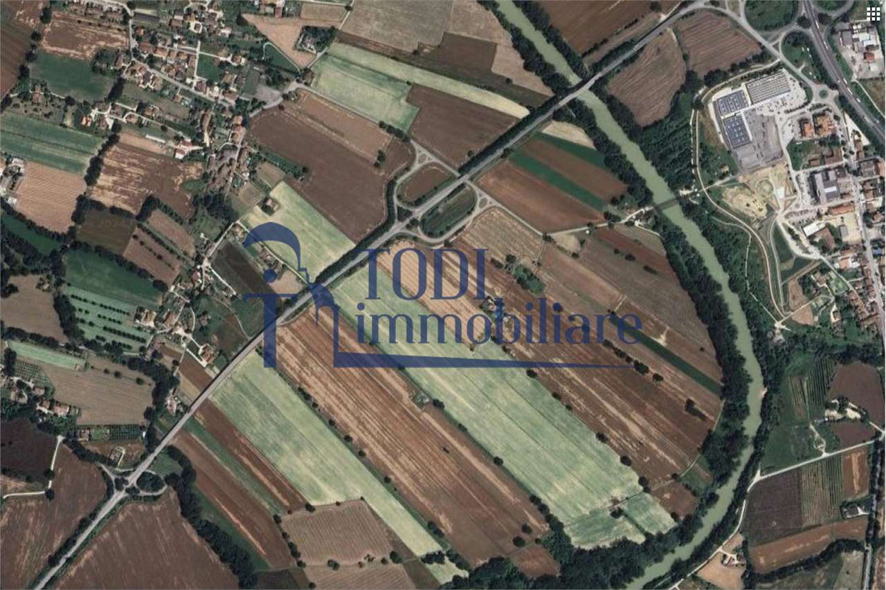 TERRENO AGRICOLO VENDITA TODI
