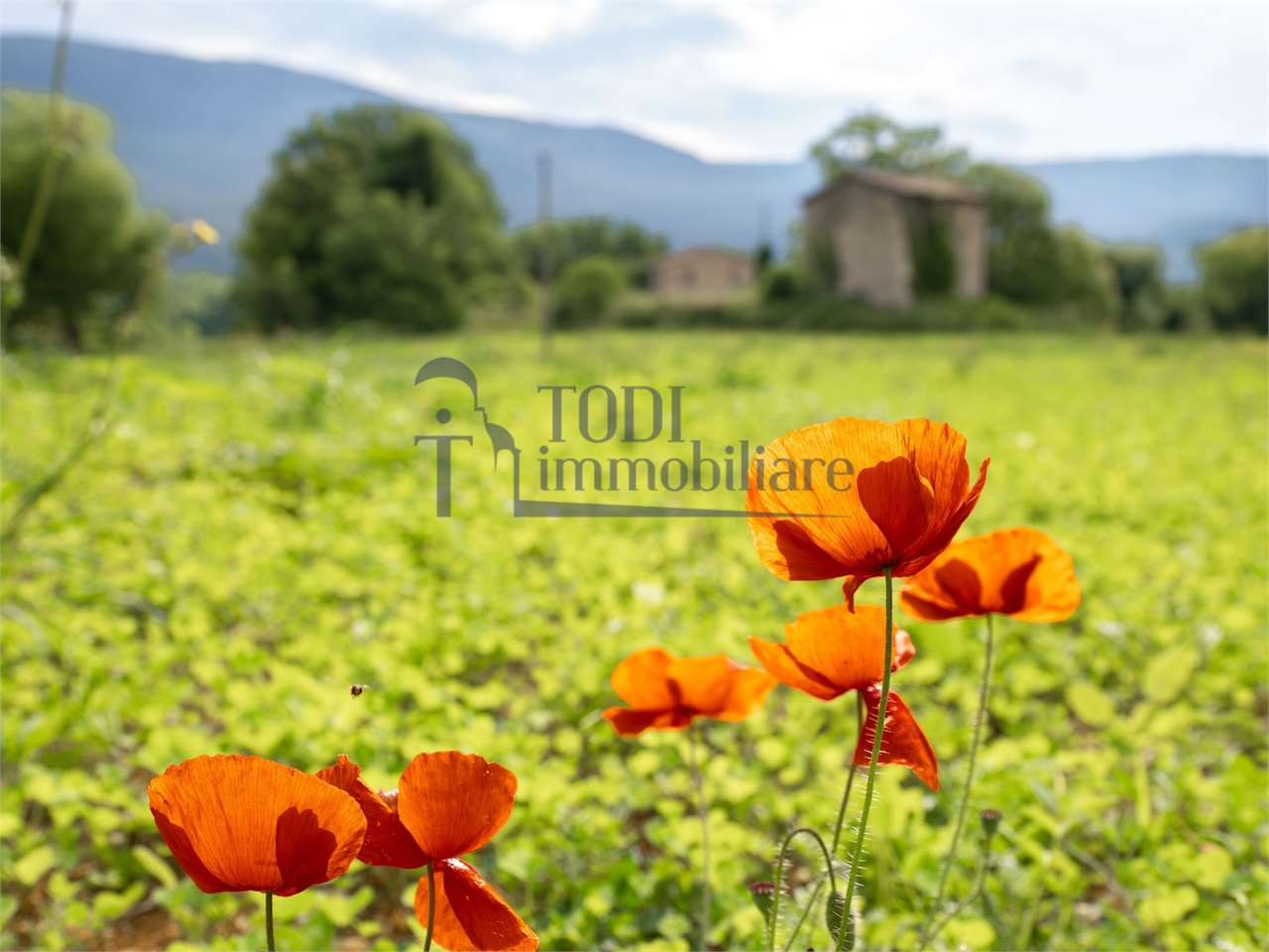 RUSTICO - CASALE VENDITA MASSA MARTANA