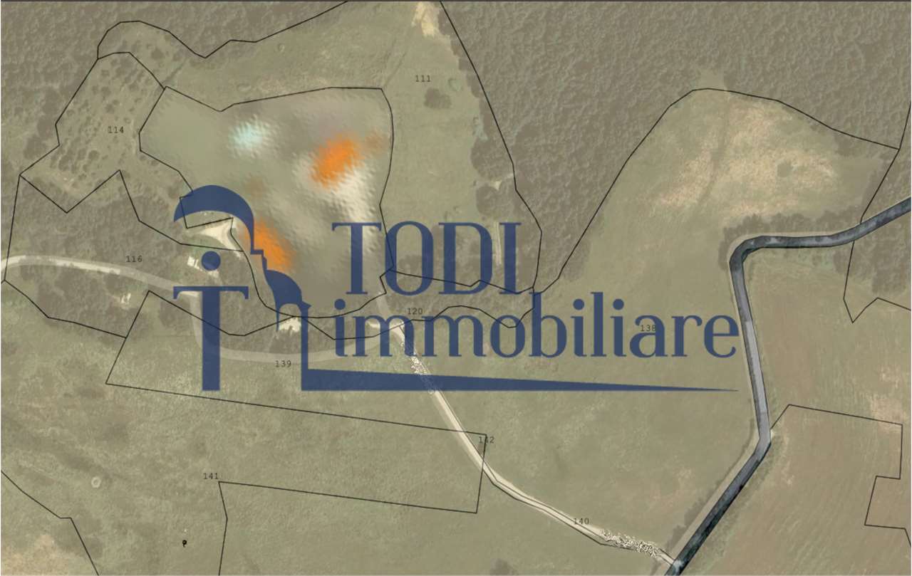 TERRENO AGRICOLO VENDITA MONTE CASTELLO DI VIBIO