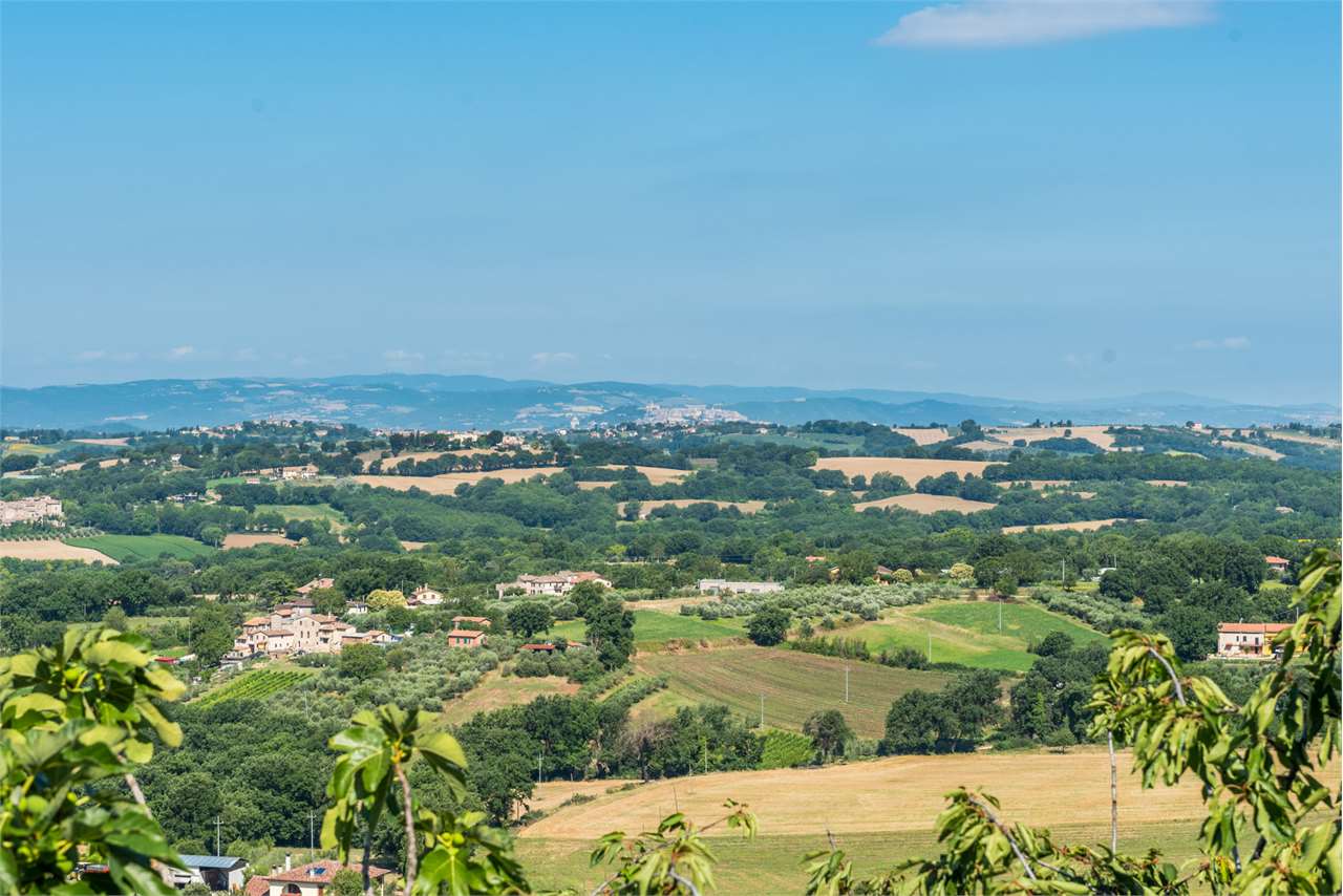 PORZIONE DI CASA VENDITA MASSA MARTANA