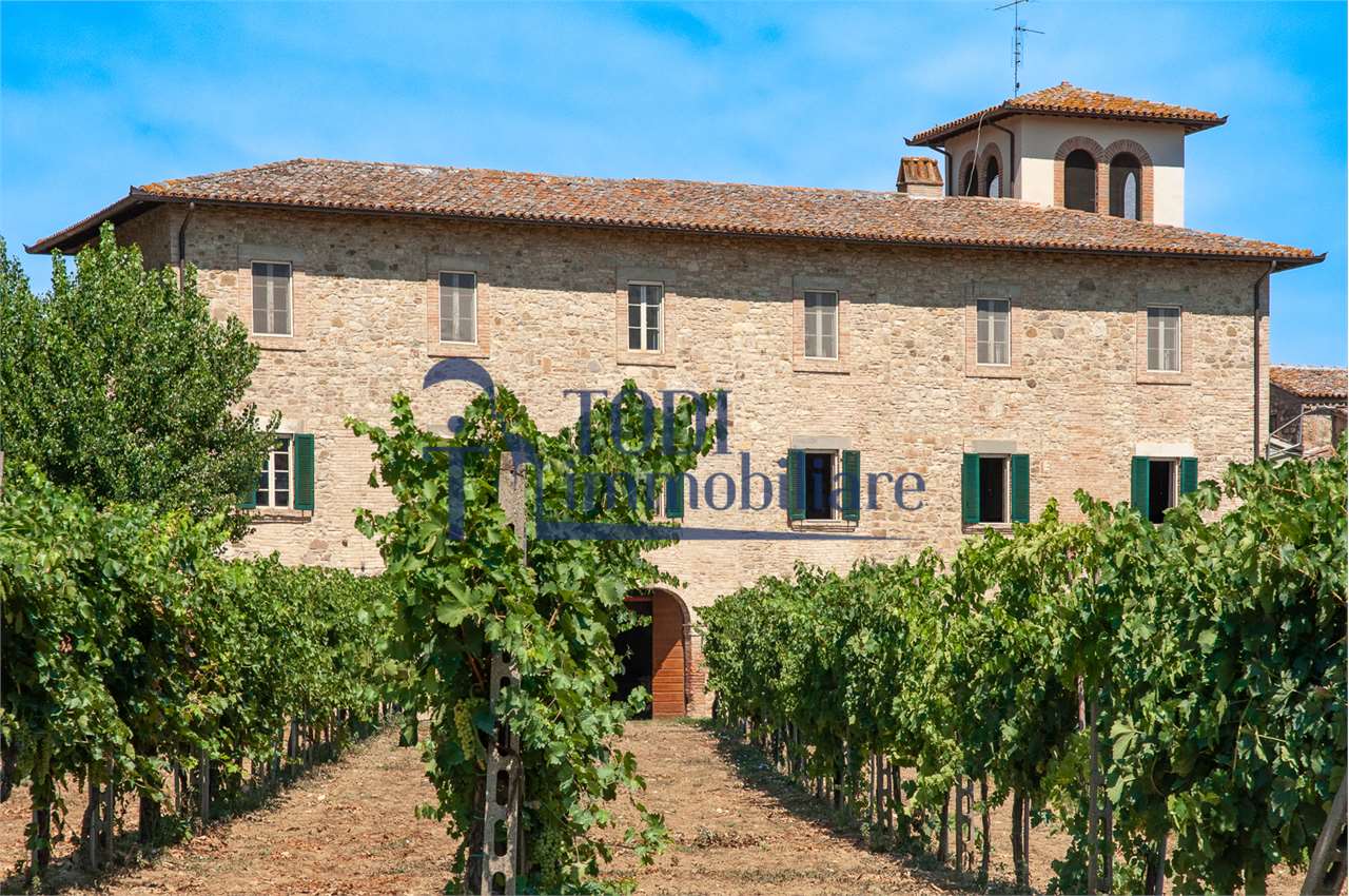 TERRENO AGRICOLO VENDITA TODI