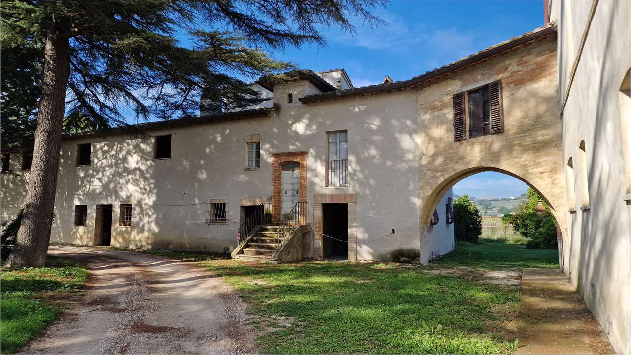 TERRENO AGRICOLO VENDITA MARSCIANO CASTELLO DELLE FORME