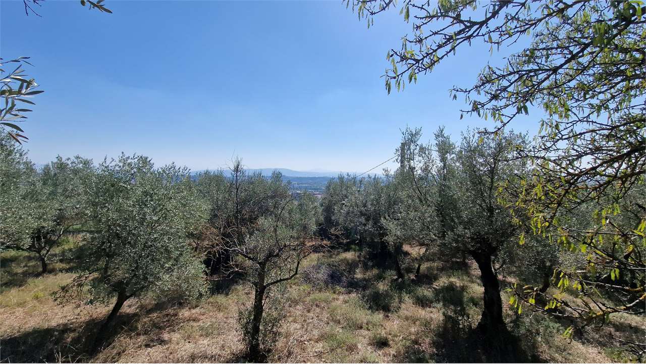 TERRENO AGRICOLO VENDITA PERUGIA