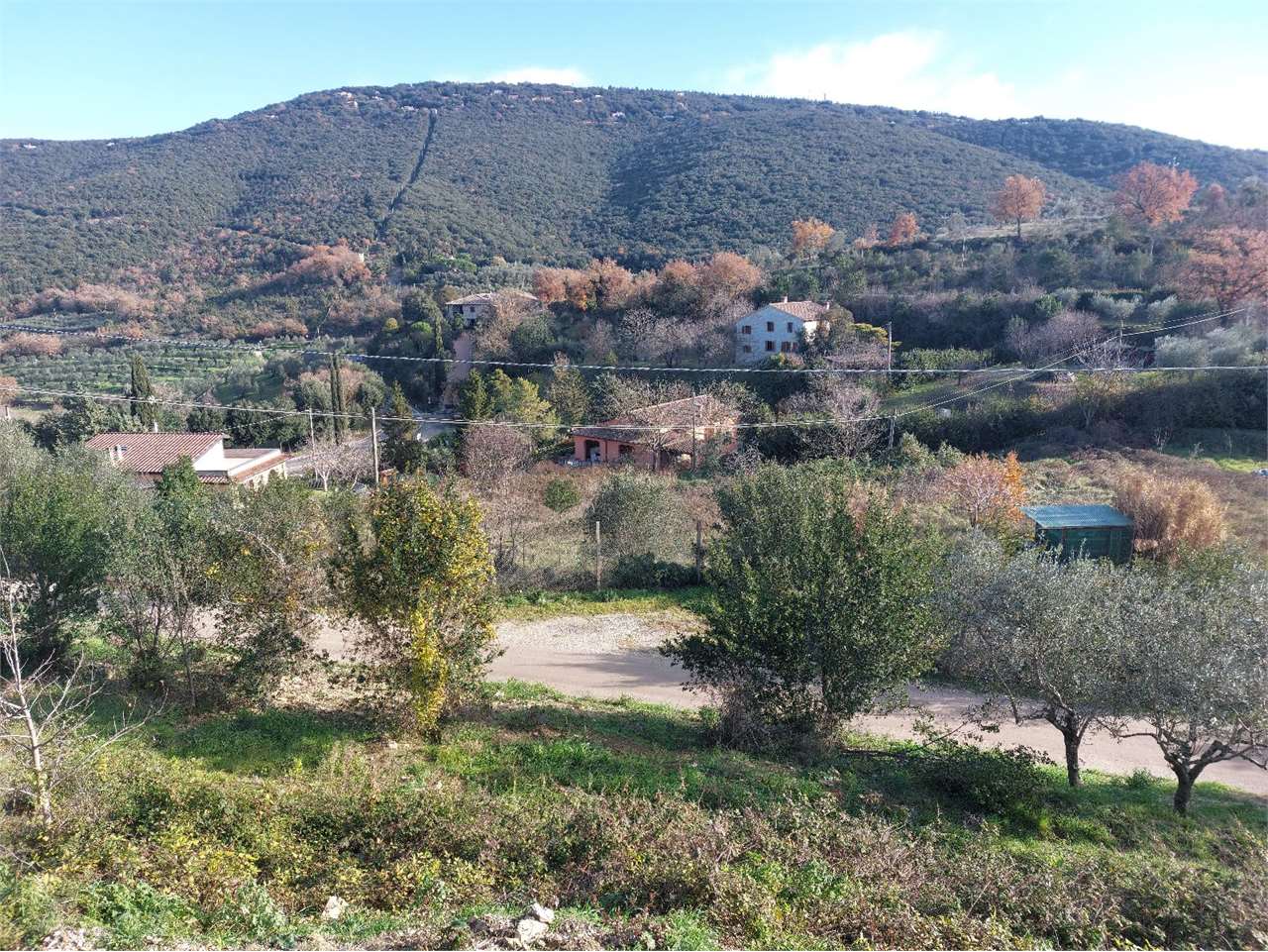 TERRENO AGRICOLO VENDITA CORCIANO