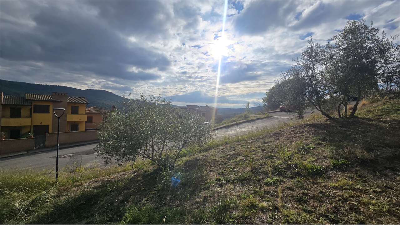 TERRENO EDIFICABILE VENDITA PANICALE TAVERNELLE