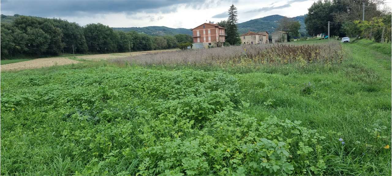 TERRENO AGRICOLO VENDITA CORCIANO MANTIGNANA