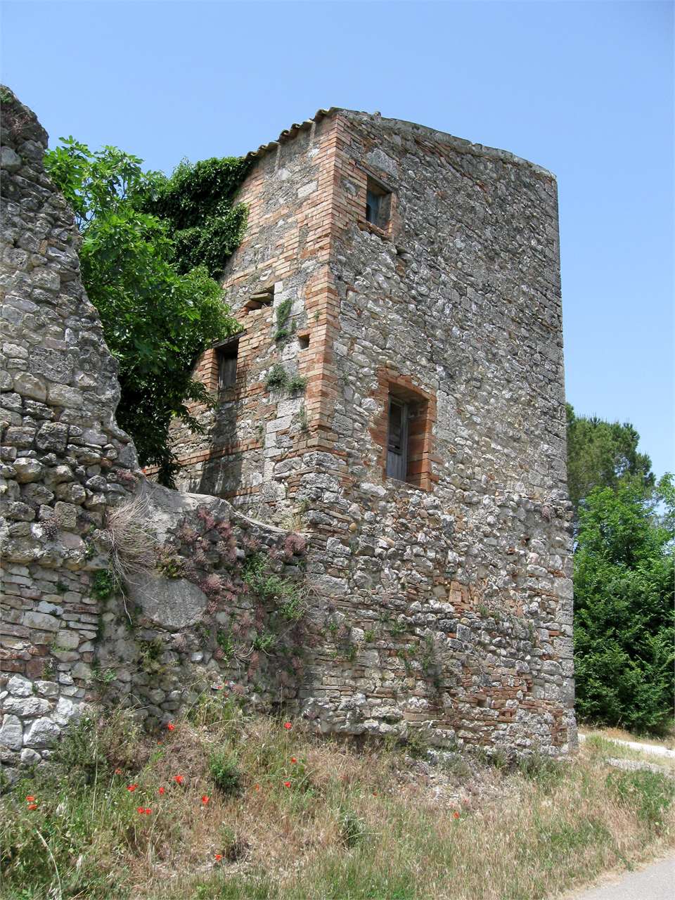 AZIENDA AGRICOLA VENDITA TODI