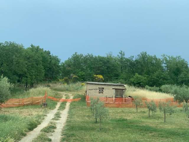 RUSTICO - CASALE VENDITA PERUGIA