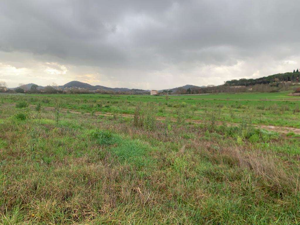 TERRENO AGRICOLO VENDITA CORCIANO TERRIOLI