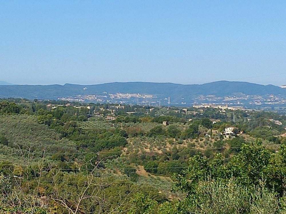 TERRENO AGRICOLO VENDITA TERNI 	VALENZA	