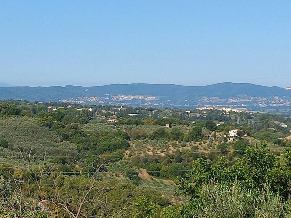 TERRENO AGRICOLO VENDITA TERNI VALENZA