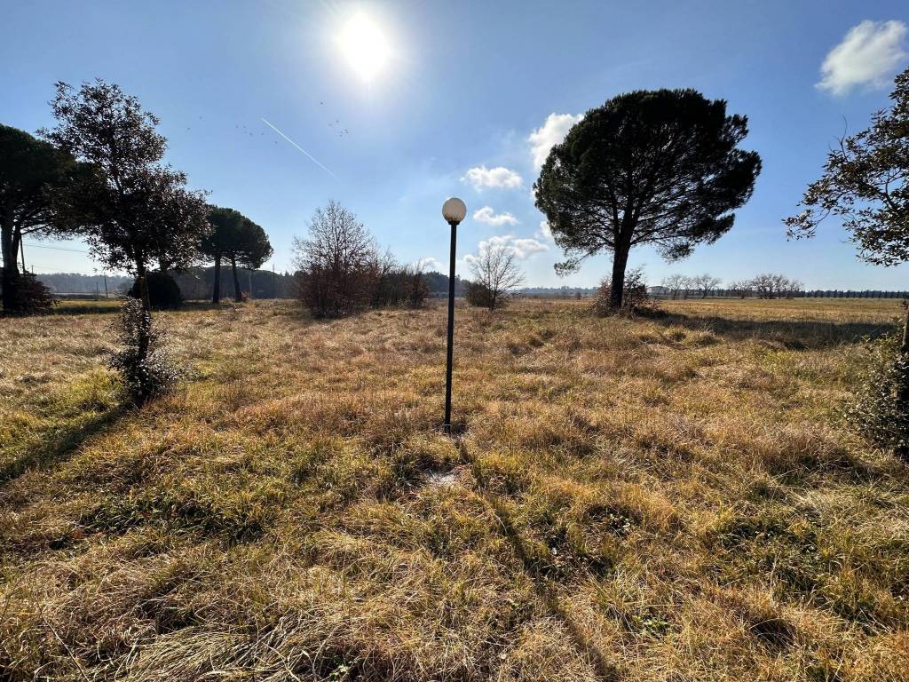 TERRENO EDIFICABILE VENDITA CASTIGLIONE DEL LAGO