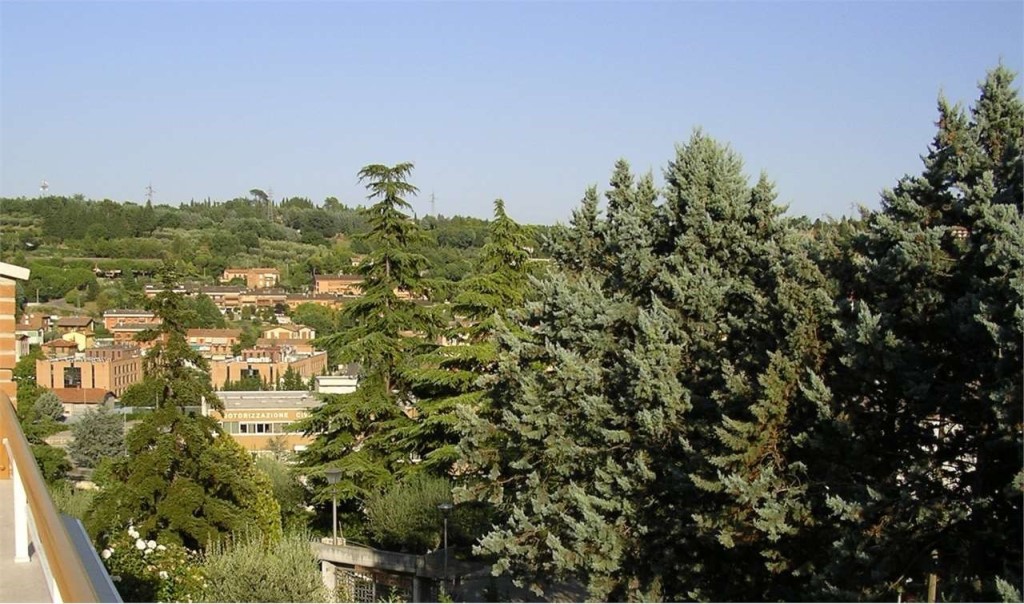 APPARTAMENTO VENDITA PERUGIA MADONNA ALTA